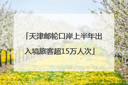 天津邮轮口岸上半年出入境旅客超15万人次