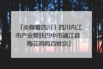 央媒看四川丨四川内江市产业帮扶巴中市通江县 梅花鸡鸣百姓富