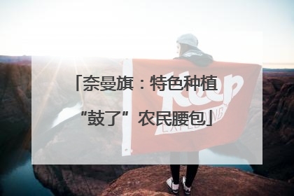 奈曼旗：特色种植“鼓了”农民腰包