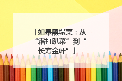 如皋黑塌菜：从“霜打趴菜”到“长寿金叶”