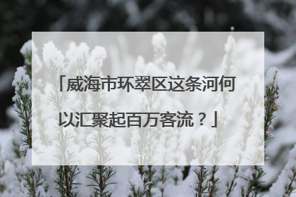 威海市环翠区这条河何以汇聚起百万客流？