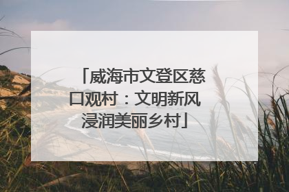 威海市文登区慈口观村：文明新风浸润美丽乡村