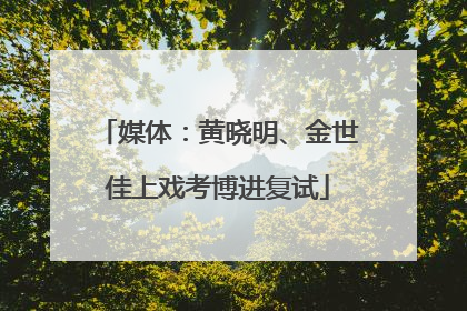 媒体：黄晓明、金世佳上戏考博进复试