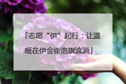 志愿“伊”起行：让温暖在伊金霍洛旗流淌