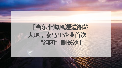 当东非海风邂逅湘楚大地，索马里企业首次“组团”刷长沙