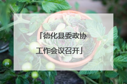 德化县委政协工作会议召开