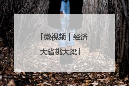 微视频｜经济大省挑大梁