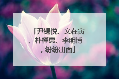 尹锡悦、文在寅、朴槿惠、李明博，纷纷出面