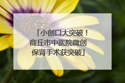 小创口大突破！商丘市中医院微创保肾手术获突破