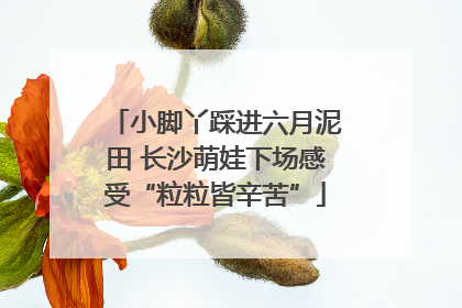 小脚丫踩进六月泥田 长沙萌娃下场感受“粒粒皆辛苦”