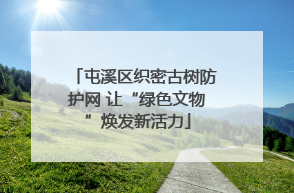 屯溪区织密古树防护网 让“绿色文物”焕发新活力