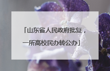 山东省人民政府批复，一所高校民办转公办