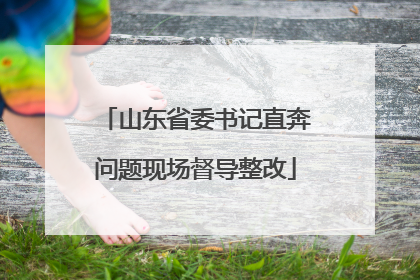 山东省委书记直奔问题现场督导整改