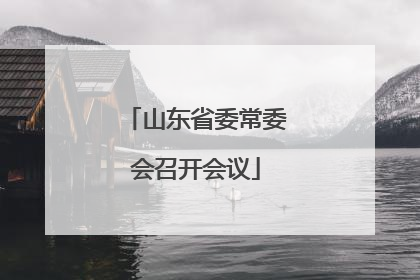 山东省委常委会召开会议