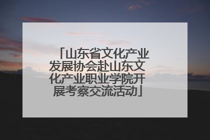山东省文化产业发展协会赴山东文化产业职业学院开展考察交流活动