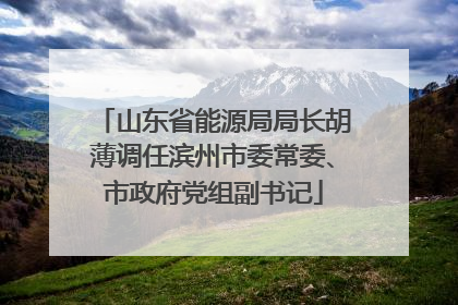 山东省能源局局长胡薄调任滨州市委常委、市政府党组副书记