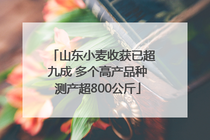 山东小麦收获已超九成 多个高产品种测产超800公斤