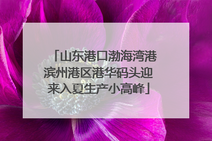 山东港口渤海湾港滨州港区港华码头迎来入夏生产小高峰