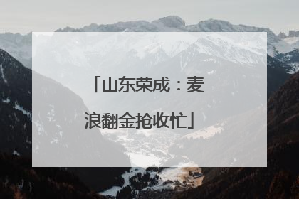 山东荣成：麦浪翻金抢收忙