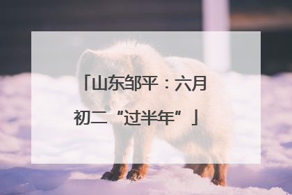 山东邹平：六月初二“过半年”