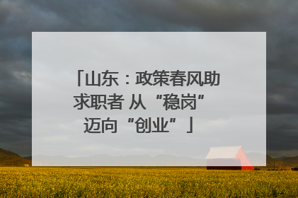 山东：政策春风助求职者 从“稳岗”迈向“创业”