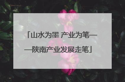 山水为墨 产业为笔——陕南产业发展走笔