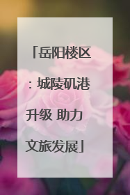 岳阳楼区：城陵矶港升级 助力文旅发展