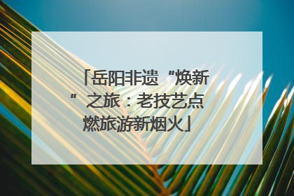岳阳非遗“焕新”之旅：老技艺点燃旅游新烟火
