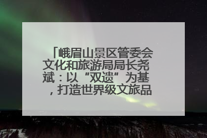 峨眉山景区管委会文化和旅游局局长尧斌：以“双遗”为基，打造世界级文旅品牌与国际典范