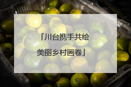 川台携手共绘美丽乡村画卷