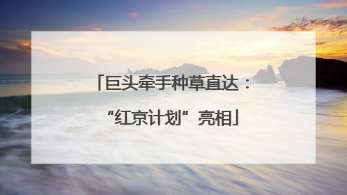 巨头牵手种草直达：“红京计划”亮相