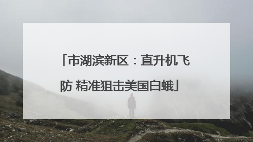市湖滨新区：直升机飞防 精准狙击美国白蛾