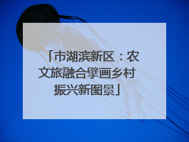 市湖滨新区：农文旅融合擘画乡村振兴新图景