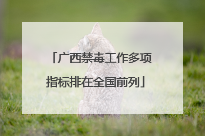 广西禁毒工作多项指标排在全国前列