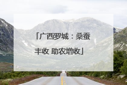 广西罗城：桑蚕丰收 助农增收