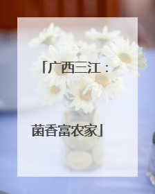 广西三江：菌香富农家