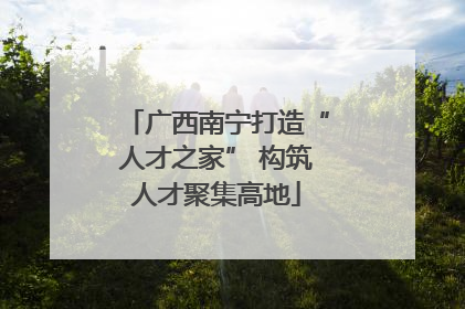 广西南宁打造“人才之家” 构筑人才聚集高地