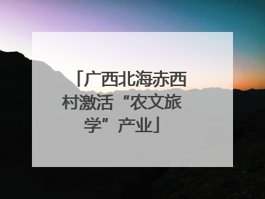 广西北海赤西村激活“农文旅学”产业