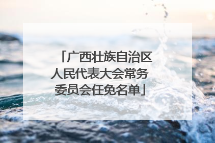 广西壮族自治区人民代表大会常务委员会任免名单