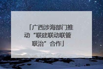 广西涉海部门推动“联建联动联管联治”合作
