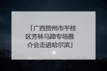 广西贺州市平桂区芳林马蹄专场推介会走进哈尔滨