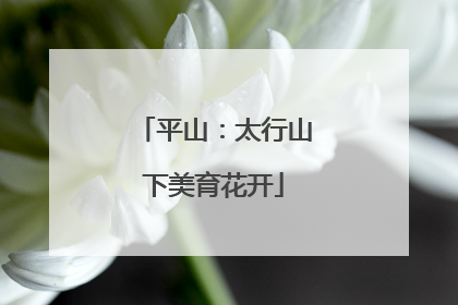 平山：太行山下美育花开