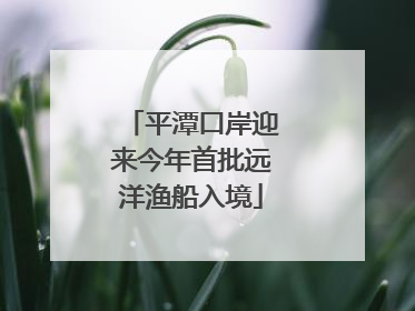平潭口岸迎来今年首批远洋渔船入境