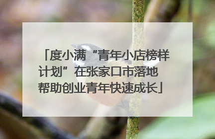 度小满“青年小店榜样计划”在张家口市落地 帮助创业青年快速成长