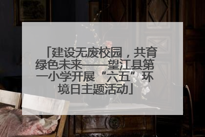 建设无废校园，共育绿色未来——望江县第一小学开展“六五”环境日主题活动