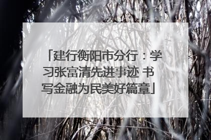 建行衡阳市分行：学习张富清先进事迹 书写金融为民美好篇章