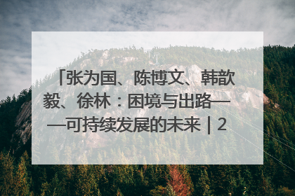 张为国、陈博文、韩歆毅、徐林：困境与出路——可持续发展的未来｜2025IFCII