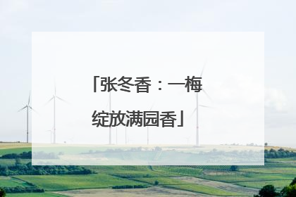 张冬香：一梅绽放满园香