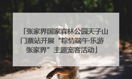 张家界国家森林公园天子山门票站开展“粽情端午·乐游张家界”主题宠客活动