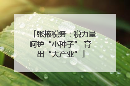 张掖税务：税力量呵护“小种子” 育出“大产业”